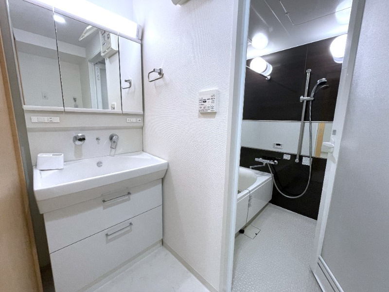 エルイソベ三宮の洗面所