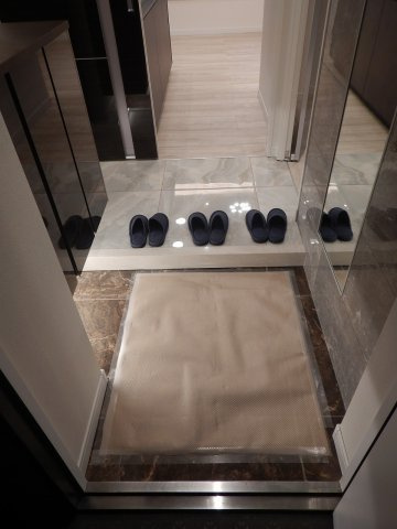 ダイアパレス元浅草２の玄関