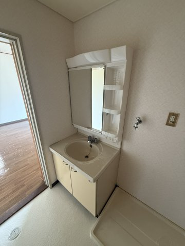 グレーセル宮永の洗面所