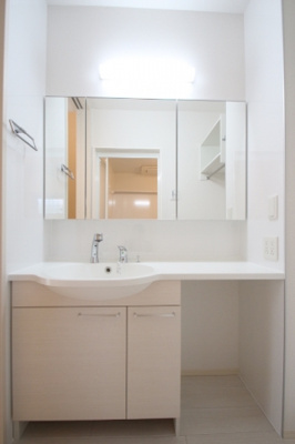 【洗面所】 | D-room紅葉ヶ丘 | 同仕様サンプル写真