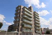 旭エルフの画像