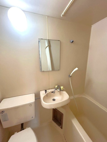 メゾン・ド・エモックの洗面所