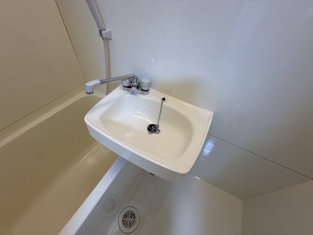 ルミナス野山の洗面所