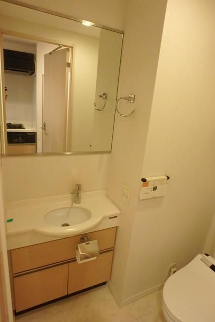 ドゥーエ新富町の洗面所