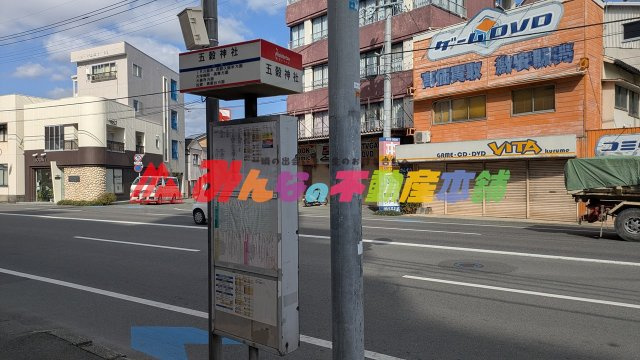 アーサー久留米エクシオ