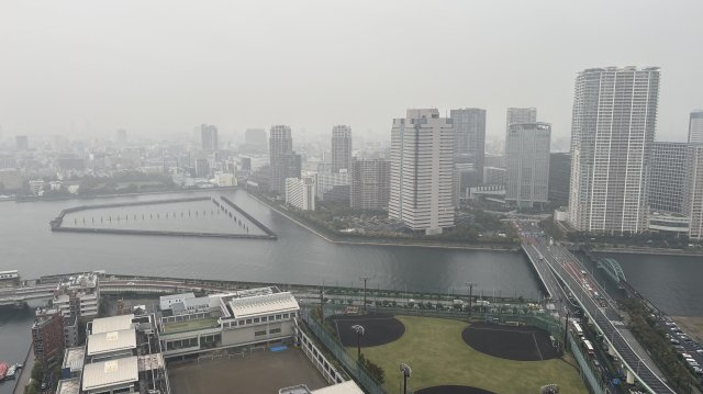 【周辺】 | ★仲介手数料無料★HarumiアイランドトリトンスクエアView Tower(フルリノベーション済み）