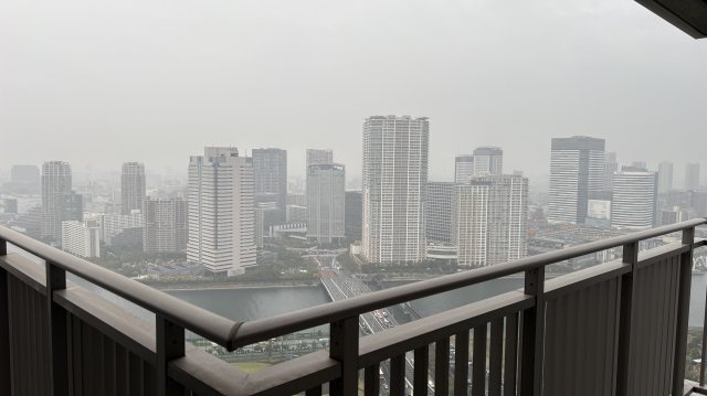 【展望】 | ★仲介手数料無料★HarumiアイランドトリトンスクエアView Tower(フルリノベーション済み）