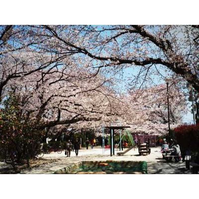 【周辺】 | 菱和パレス上北沢 | 公園「玉川上水第二公園まで410ｍ」