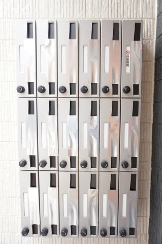 リブリ・ガバナーのその他