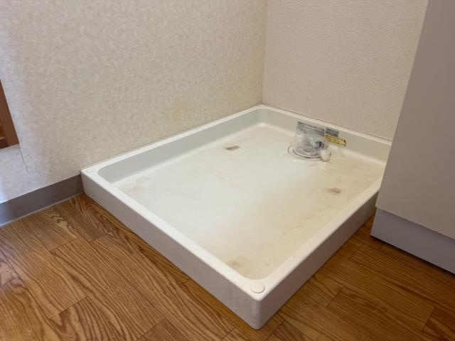 ロイヤルパインズＢ棟のその他|洗濯機置場