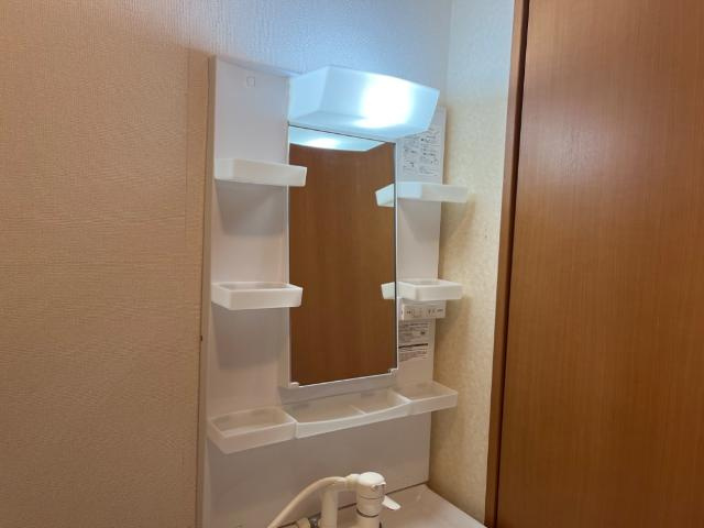 ロイヤルパインズＢ棟の洗面所|洗面上部