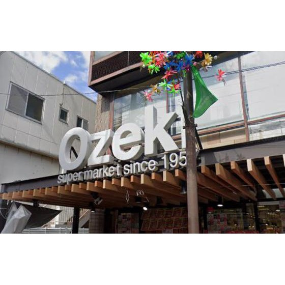 アルカネットの周辺|スーパー「スーパーオオゼキ御嶽山店まで369ｍ」スーパーオオゼキ御嶽山店