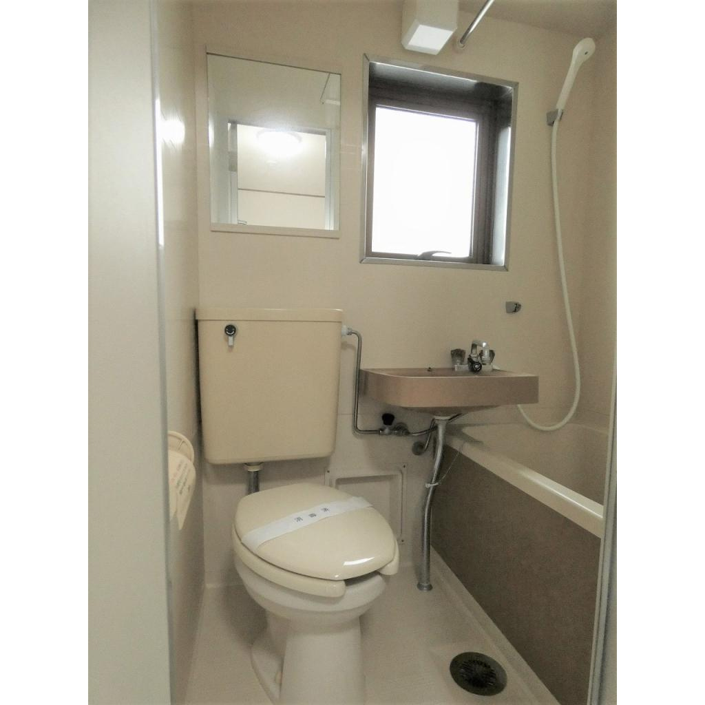 ハイツ竹井のトイレ