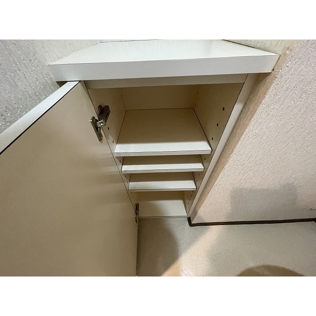 メゾンヌーヴェルのトイレ|収納