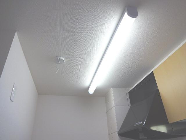 Ritz Elamicaのキッチン|照明