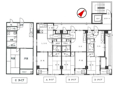 戸田市美女木３丁目の一棟マンションの間取り