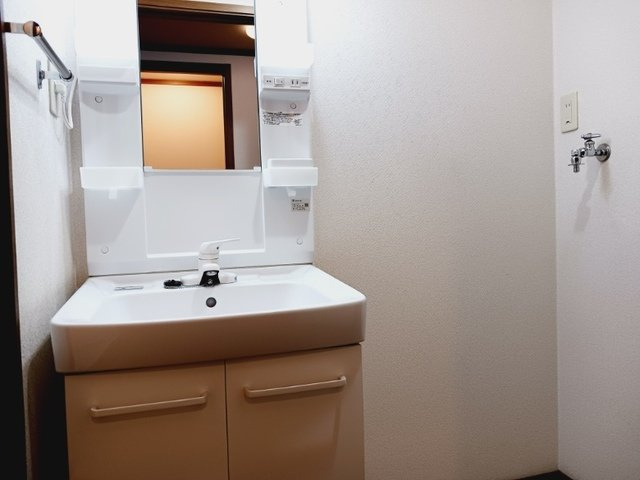 オークランドヴィラの洗面所