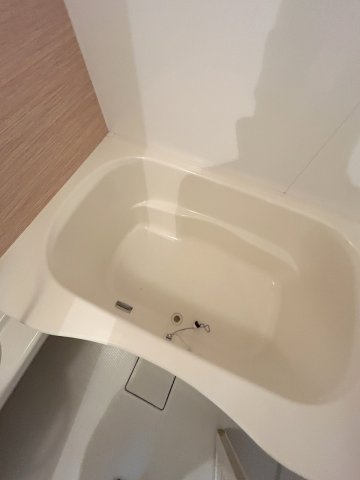 ルサンティエ武蔵野の浴室