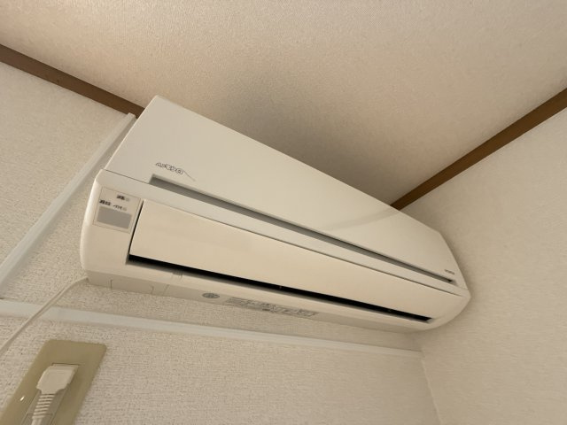 パインリバーズⅡの内装