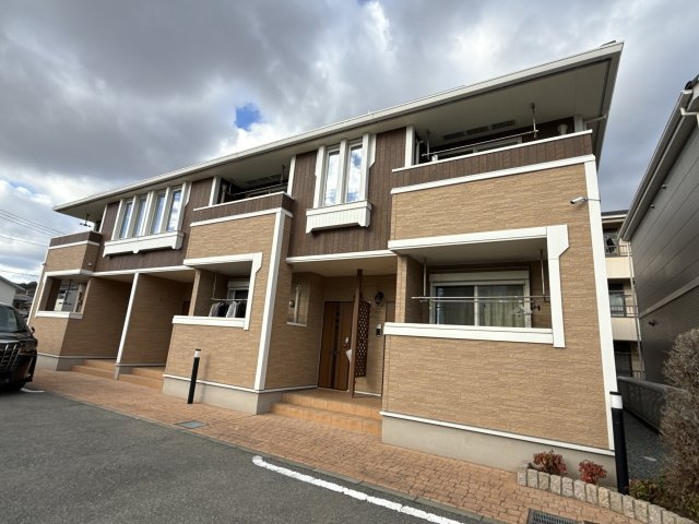 ヴィオラの外観