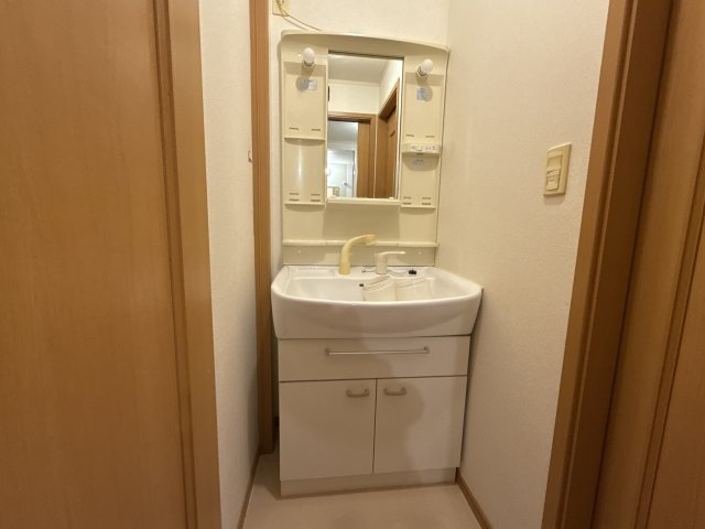 エレガンス・ヴィラＡの洗面所