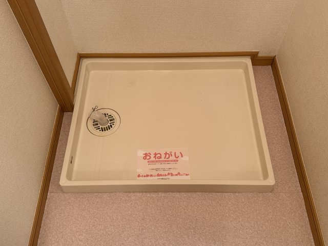 ウェントゥスⅠのその他