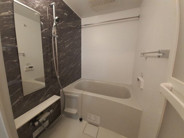 ディアス・カーサⅥの浴室