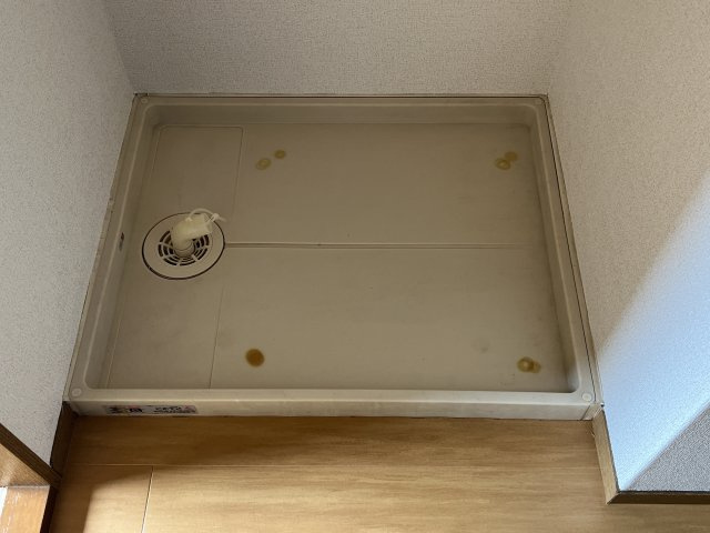 サンドミールのその他