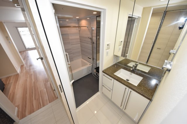 エスライズ西本町Ⅱの洗面所