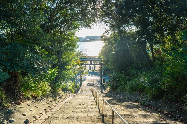 【土地】福岡市東区名島1丁目の周辺