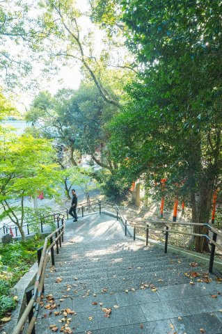 【土地】福岡市東区名島1丁目の周辺