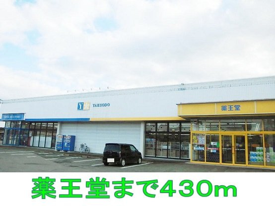 グランフィオーレⅡの周辺|薬王堂まで430m