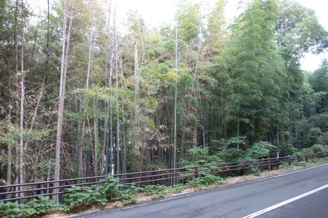 　岐阜市日野西四丁目の周辺