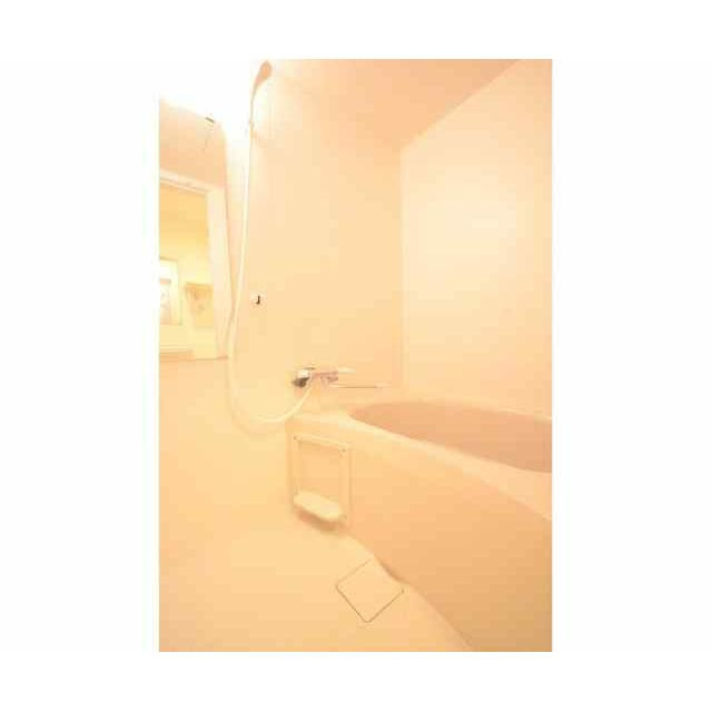 Gradito Ryogokuの浴室