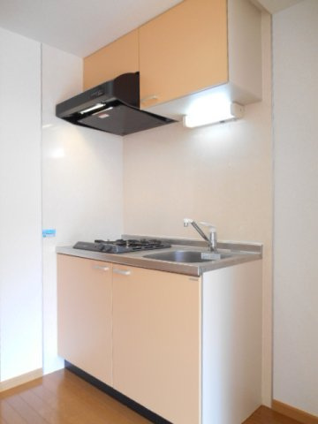 エレガンラルジュⅡのキッチン|キッチンでお料理をお楽しみください