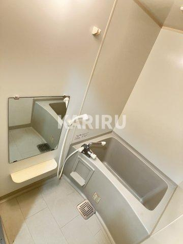 メゾン・ド・ヴィレ都島の浴室