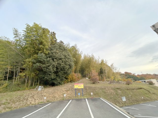 ハイライフ東生駒の展望