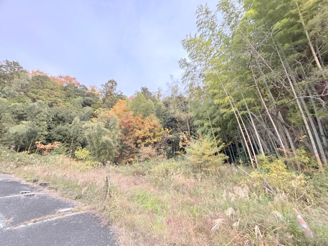 ハイライフ東生駒のその他