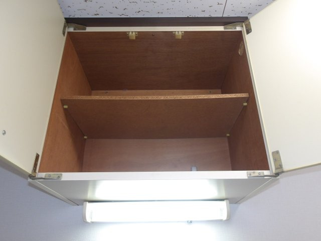 アドウィスタリアの収納