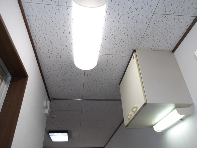 アドウィスタリアのその他