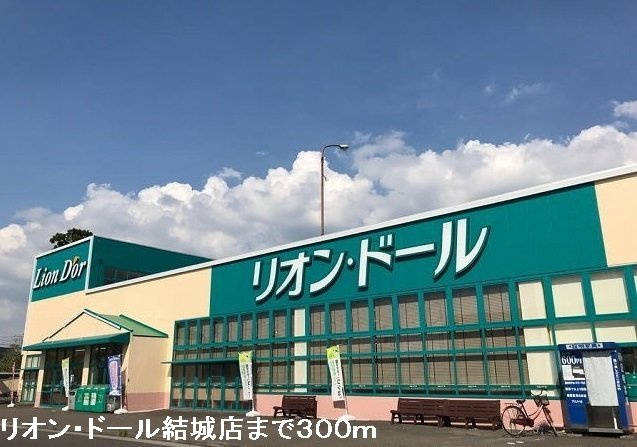 （新築）　八竜神アパートの周辺|リオン・ドール結城店まで300m