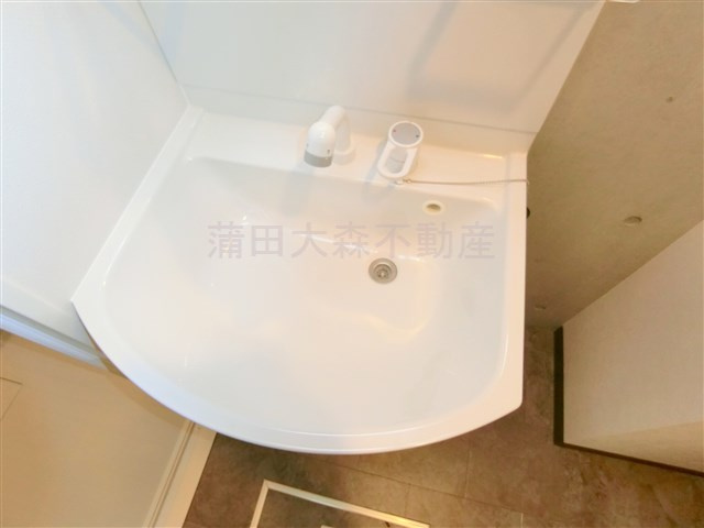 GRAN PASEOグランパセオ蒲田Ⅱの洗面所