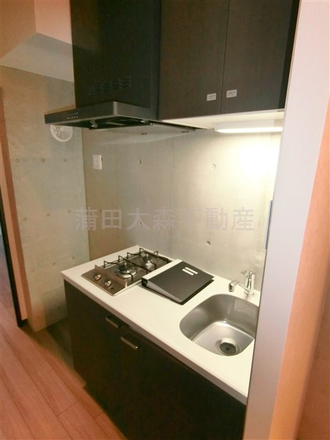 GRAN PASEOグランパセオ蒲田Ⅱのキッチン|2口ガスシステムキッチン