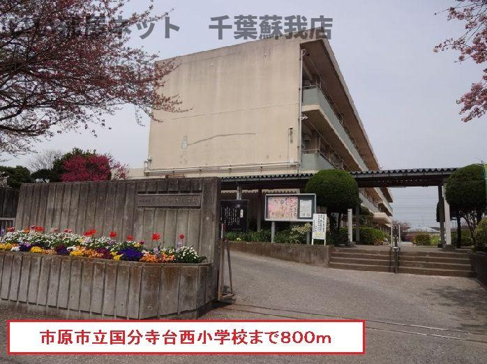 プリムローズのその他