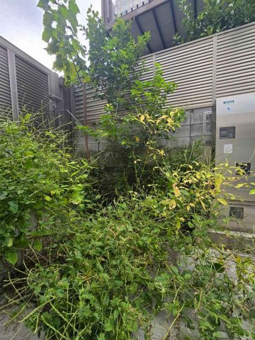 PASEO白山Ⅱの展望