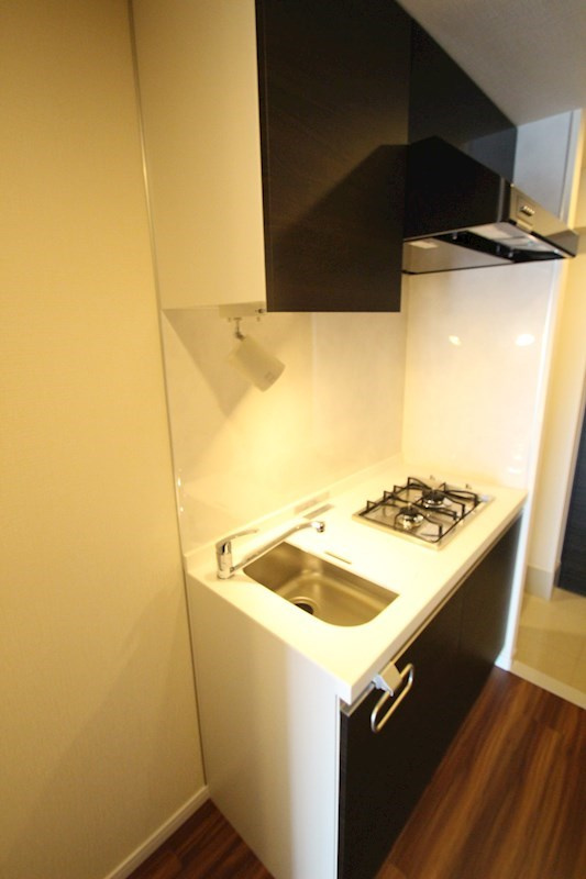 横浜市南区真金町２丁目の賃貸マンションのキッチン