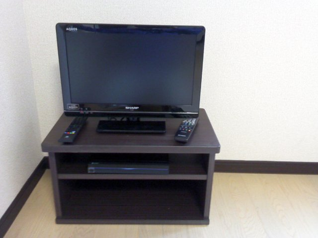 レオネクストココグランデ十条のその他|テレビ（お部屋によって異なる場合あり）