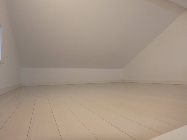 Amitie Ojikamiya（アミティ王子神谷）のその他