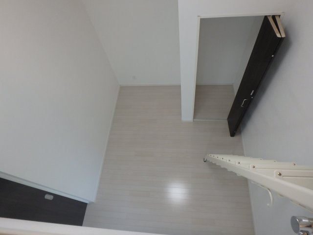 Amitie Ojikamiya（アミティ王子神谷）のその他