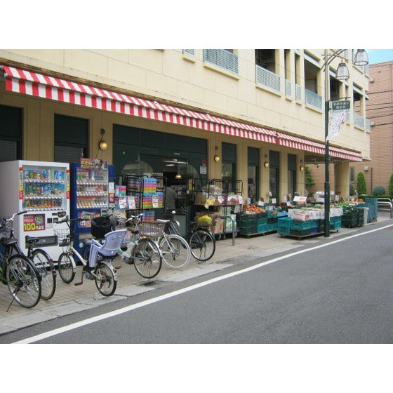 コスモ・ポーリの周辺|スーパー「TSUKASA杉並和泉店まで708ｍ」